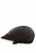 Grafbeeld 'Egel'