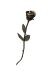 Mini urn bronzen roos