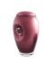 Kristal glazen urn met hart Bordeaux rood