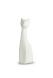 Witte kattenurn