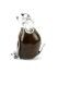 Mini urn van kristalglas 'Hond' bruin