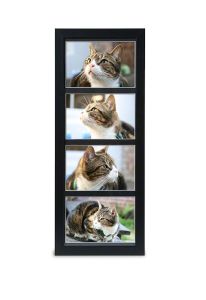 Satijnzwarte fotolijst dierenurn
