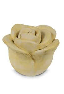 Roosvormige gele mini urn