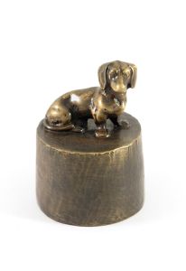 Teckel klein zittend urn verbronsd