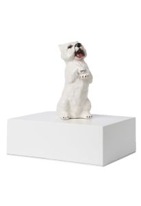 Dieren urn 'West Higland terrier'