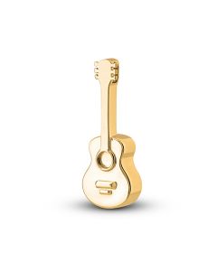 Assieraad 'Akoestische gitaar' goud