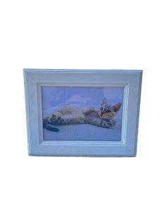 Fotolijst dierenurn l SALE