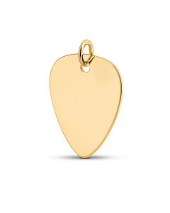 Gedenksieraad goud 'Plectrum'