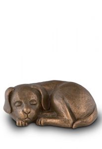 Hondenurn 'Slapend hondje'