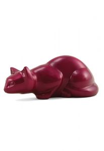 Katten urn magenta