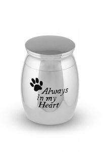 Dieren micro urn 'Always in my Heart'