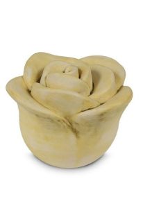 Roosvormige gele mini urn