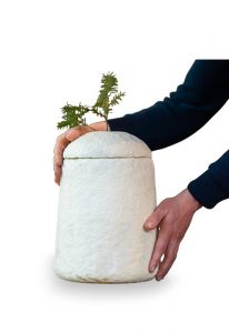 Loop EarthRise Calm - bio urn